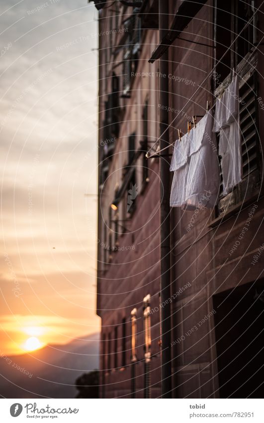 Italy - The land of washing lines Living or residing Village Small Town Old town Wall (barrier) Wall (building) Facade Window Bright Beautiful Idyll Dry