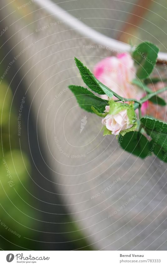 wheel basket Flower Bicycle Crazy Green Pink bicycle basket Wire netting Metal Artificial flowers Rose Kitsch Happiness Decoration Plastic Cheap Love