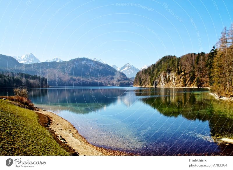 Off to the lake Nature Landscape Water Sky Cloudless sky Summer Beautiful weather Tree Grass Meadow Forest Alps Mountain Peak Snowcapped peak Lake Fresh