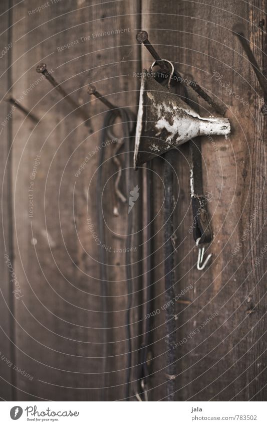 funnel Funnel Nail Wood Old Natural Wooden wall Colour photo Exterior shot Deserted Copy Space bottom Day