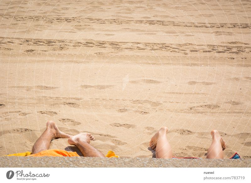 quadruped beach Beautiful Skin Relaxation Calm Leisure and hobbies Vacation & Travel Tourism Far-off places Summer Summer vacation Sunbathing Beach Human being