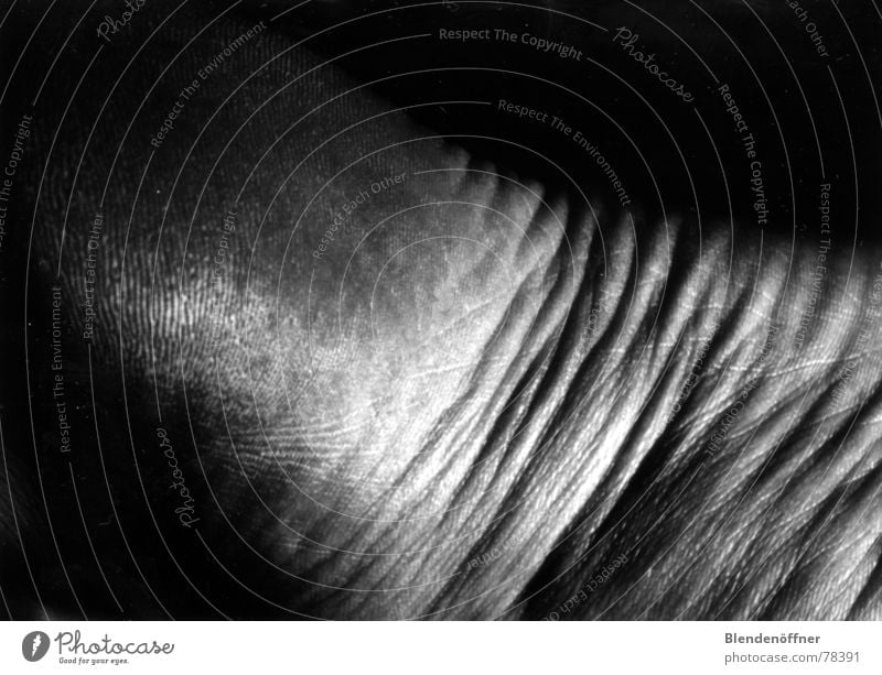 foot landscape Light Waves Shadow Wrinkles Black & white photo Feet Legs Limbs Body Landscape Macro (Extreme close-up) Structures and shapes