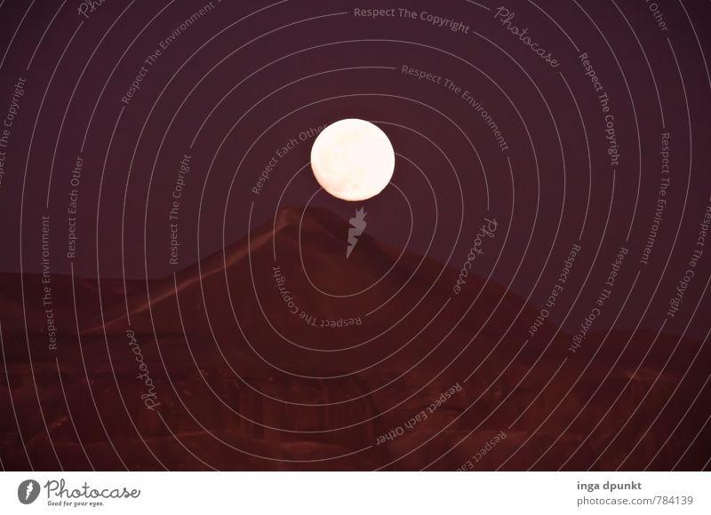 The moon has risen Environment Nature Landscape Elements Earth Sky Night sky Moon Full  moon Rock Mountain Desert Israel Negev Dark Fantastic Creepy Round