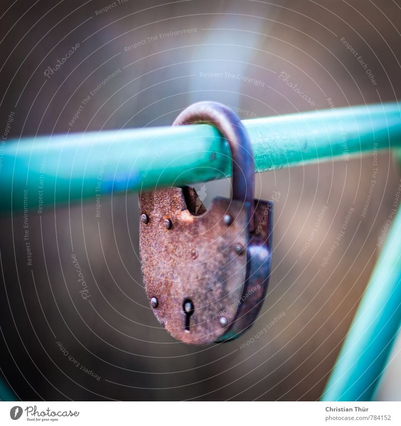 Closed padlock Metal Rust Old Esthetic Exceptional Brown Green Black Watchfulness Idyll Past Lock corroded Dreamily Bridge railing Vienna Vienna river