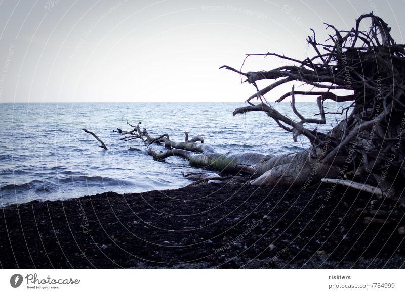 traces of time Environment Nature Landscape Water Spring Summer Waves Coast Beach Baltic Sea Dark Cold Blue Black Beautiful Calm Longing Idyll Dream Decline