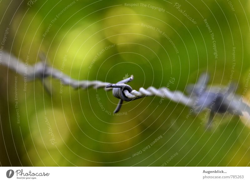 barbed wire fence... Metal Sign Infinity Thorny Gray Green Loneliness Revenge Argument Divide Past Transience Colour photo Close-up Detail