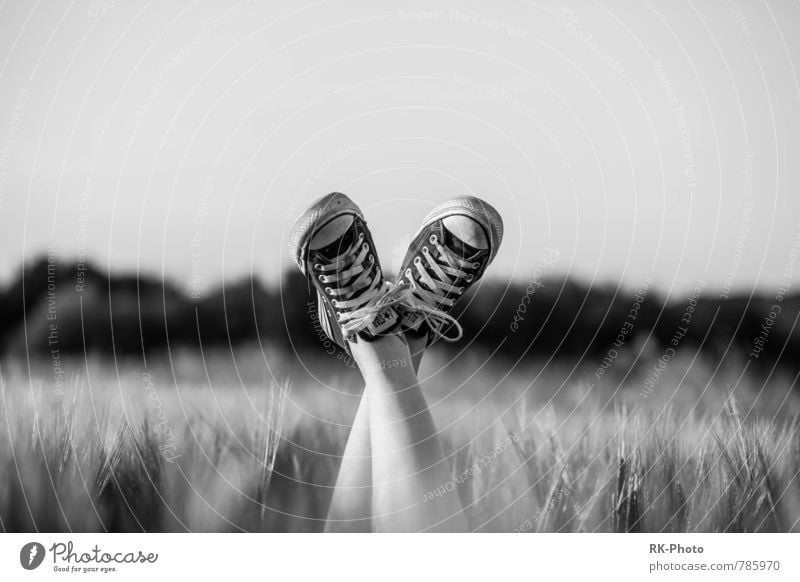 Black White Chucks Style Legs Feet 1 Human being Youth culture Free Black & white photo Exterior shot Isolated Image Sunlight