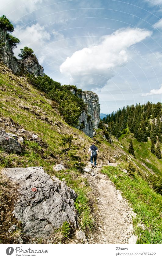 downwards Vacation & Travel Tourism Trip Summer Mountain Hiking Human being Nature Landscape Sky Clouds Beautiful weather Tree Bushes Rock Alps Peak Going