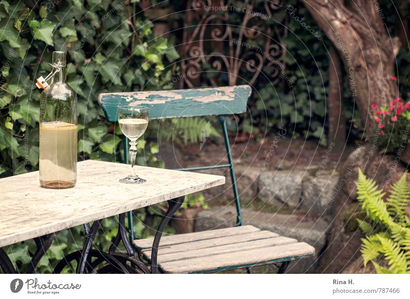 half-empty Summer Tree Garden Wait Authentic Emotions Sadness Loneliness Still Life Ivy Garden chair Derelict iron grid Bottle Wine glass Garden table Idyll