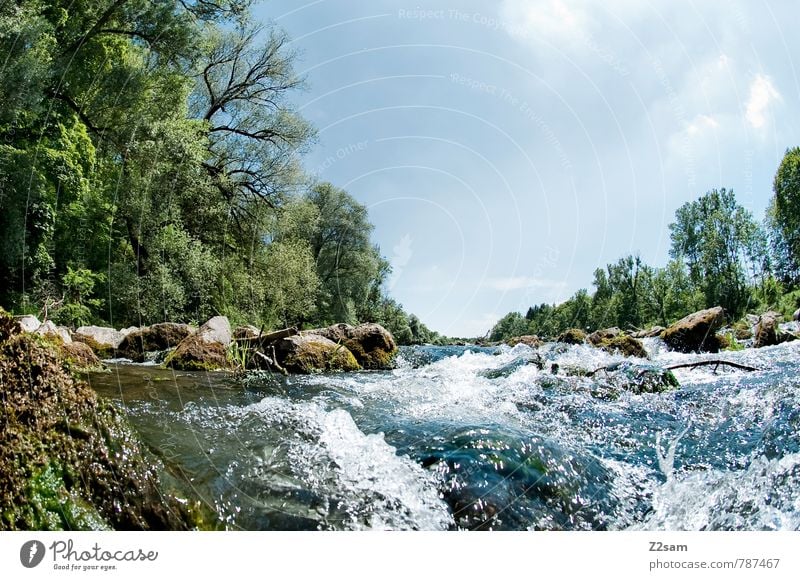 ISAR, "The Ripper." Nature Landscape Sky Clouds Summer Beautiful weather Tree Bushes River bank Fresh Cold Blue Green Adventure Loneliness Relaxation Healthy