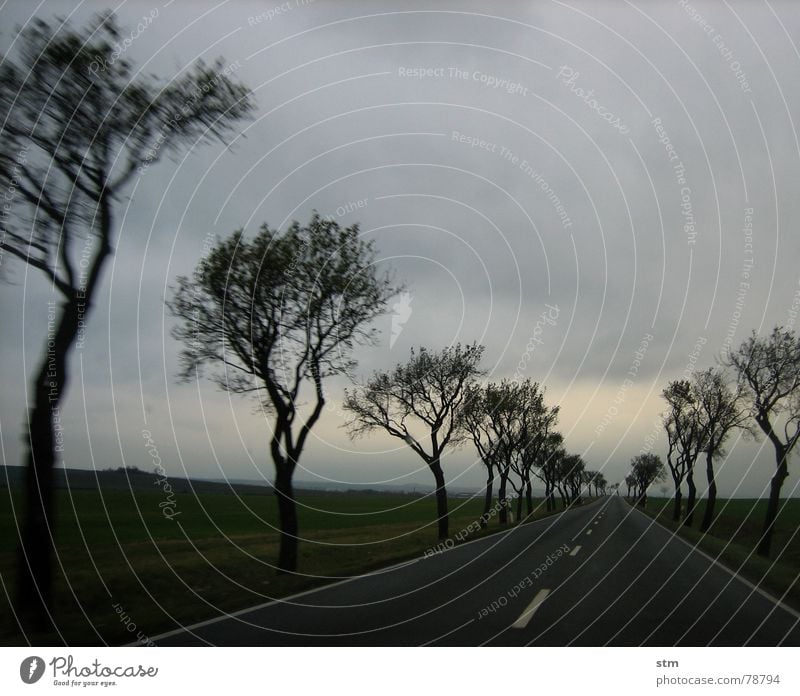 road movie 13 Turn off Direct In transit Clouds Transport Field Think Far-off places Driving Tree Right ahead Freeway Traffic lane Sky Country road Vehicle