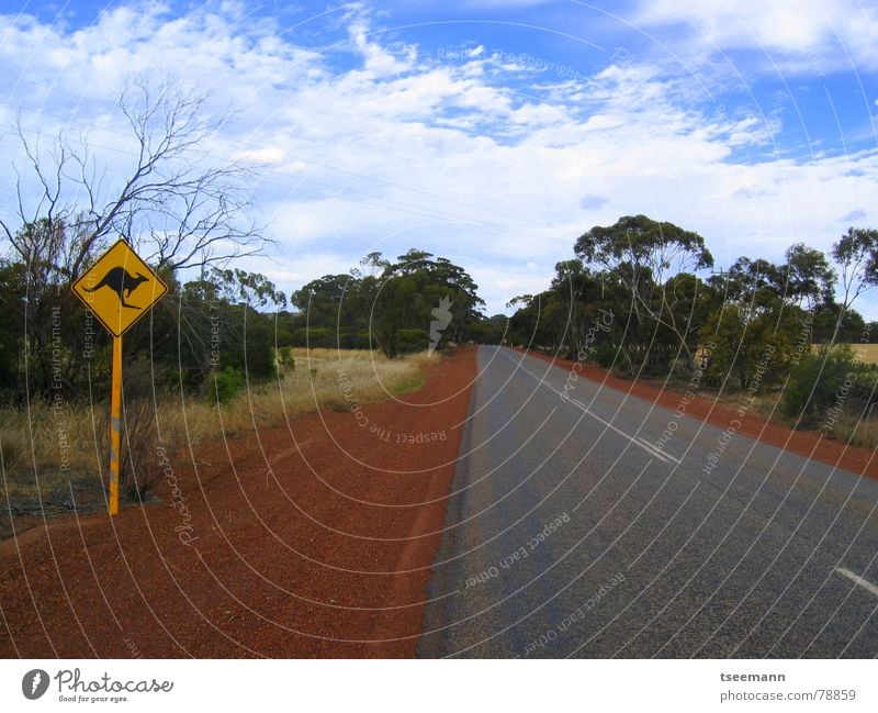 outback Far-off places Australia Outback Kangaroo Red Light Clouds Tree Infinity Street sign Sky Asphalt Loneliness Empty road trip Highway Warning label