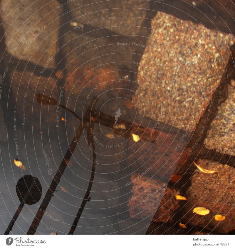 sky over berlin VII Street sign Puddle Reflection Lantern Lamp Leaf Rainwater Stone Electricity pylon Water Cobblestones kallejipp Paving stone