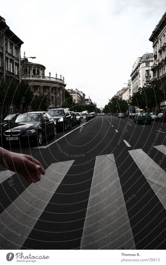 Concert-Aftermath (or with headache through Budapest) Zebra Zebra crossing Clouds Hand Fingers Stripe Parking House (Residential Structure) Town Motor vehicle