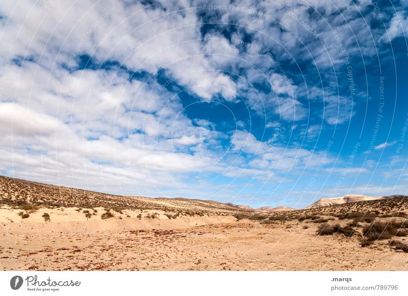 desert Vacation & Travel Summer vacation Environment Nature Landscape Sky Clouds Horizon Climate Beautiful weather Desert Relaxation Exotic Hot Dry Warmth Moody