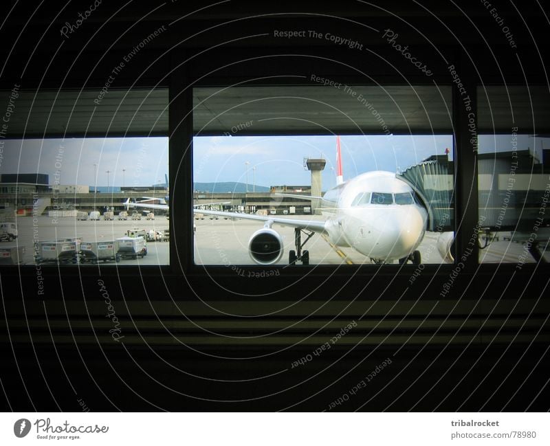 Window to the wide world Airplane In transit Switzerland Aircraft Passenger plane Transport Airport Control desk Zurich Flying Jet swiss international airline