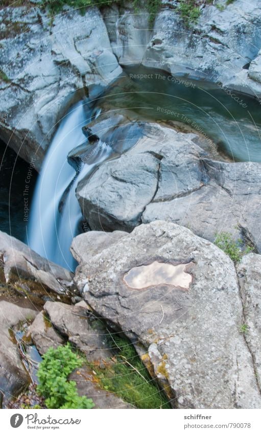 Schröder howls, Hai grins Environment Nature Landscape Bushes Rock River bank Brook Waterfall Wet Wall of rock Rock formation Canyon Cervice Exterior shot