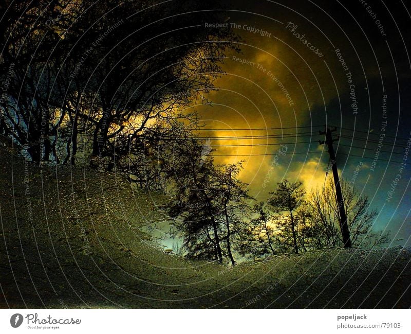 hole in the ground Puddle Clouds Autumn Asphalt Reflection Tree Electricity pylon Yellow Thin Edge Traffic infrastructure Sky Illusion Lens Deception Water Rain