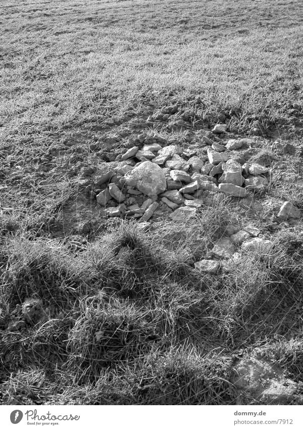 pebbles Black White Stone Black & white photo kaz