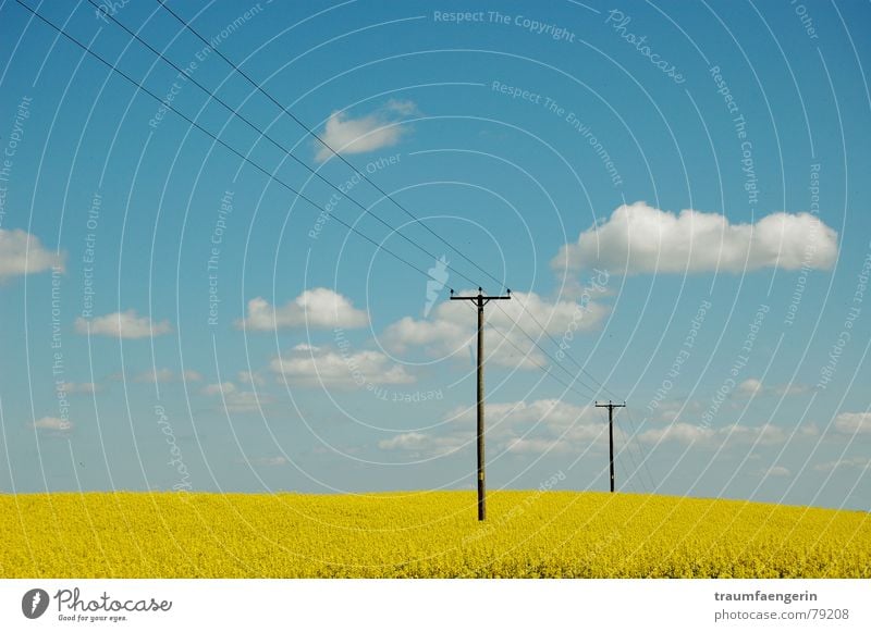 england in spring Worcestershire England Field Canola Yellow Electricity pylon Clouds Flower Meadow Summer Spring Multicoloured Extra Blue Sky Oil Landscape