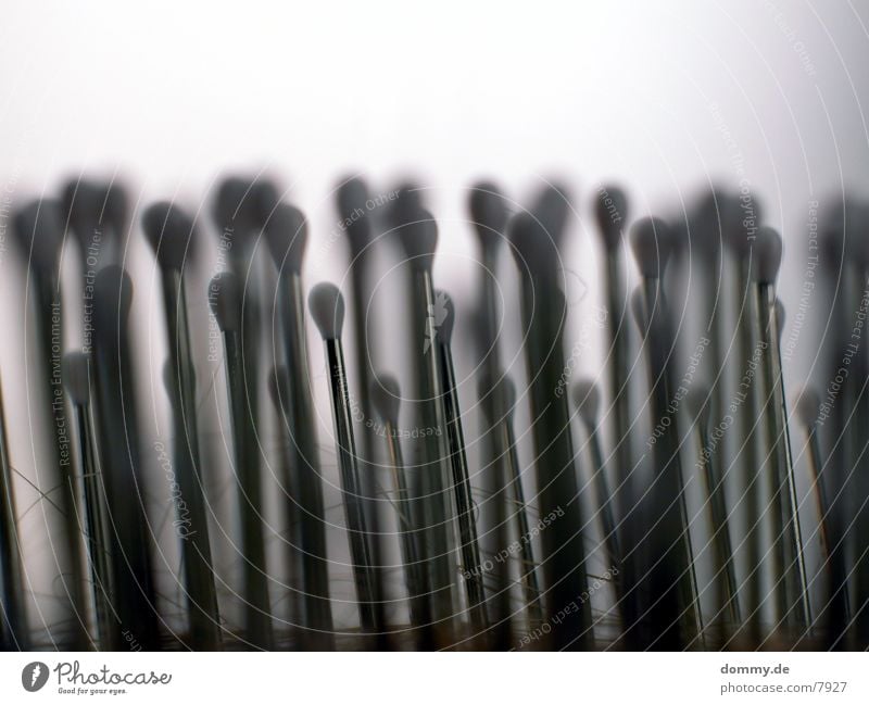 brush forest Macro (Extreme close-up) Close-up Brush Stalk Structures and shapes kaz