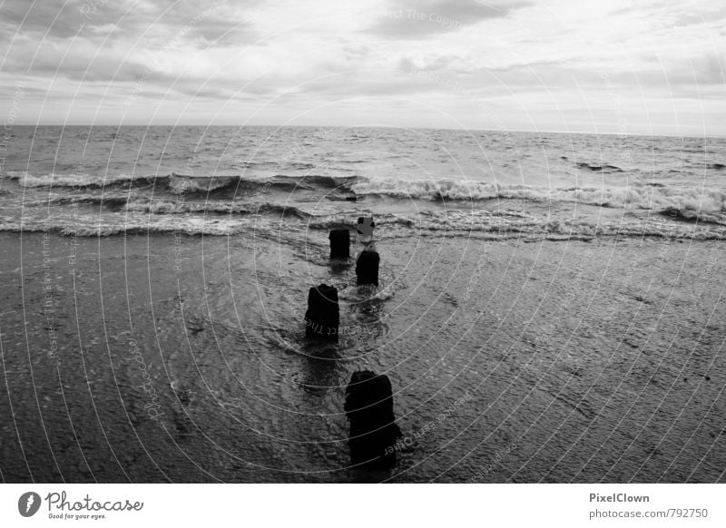 Ireland Vacation & Travel Far-off places Freedom Beach Ocean Nature Landscape Water Black White Wanderlust Earth Black & white photo Exterior shot