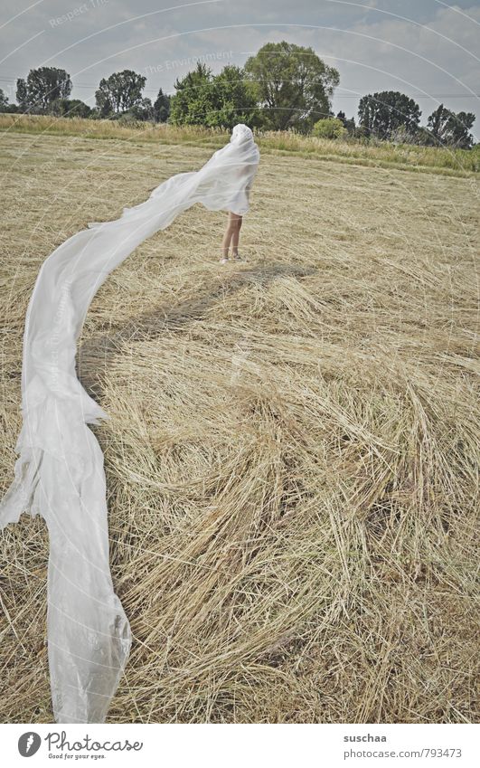 Hidden II Androgynous Child Girl Boy (child) Infancy Legs 1 Human being 3 - 8 years Environment Nature Landscape Sky Horizon Summer Beautiful weather Field