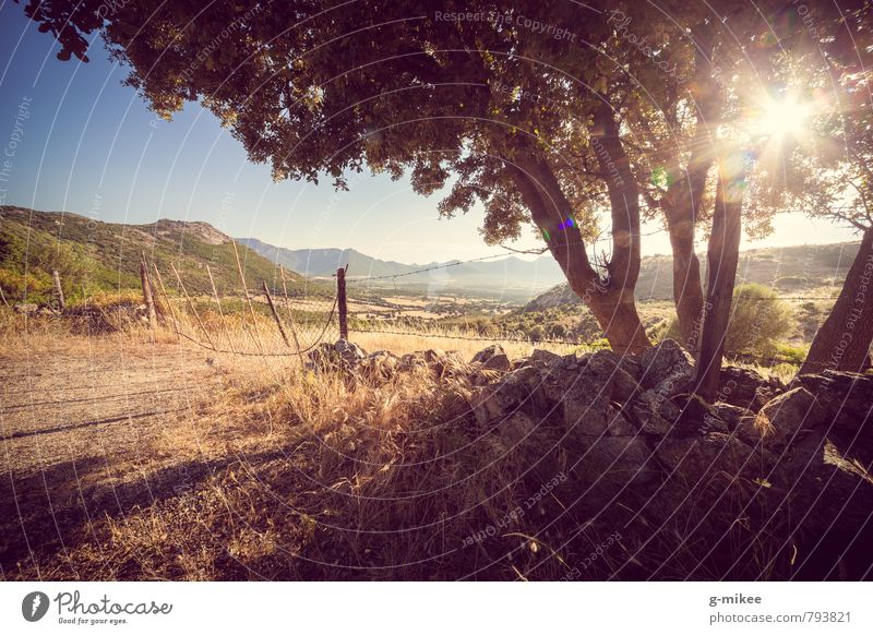 Corsica - Sunset Landscape Sunrise Sunlight Summer Mountain Far-off places Large Infinity Warmth Colour photo Exterior shot Deserted Day Sunbeam