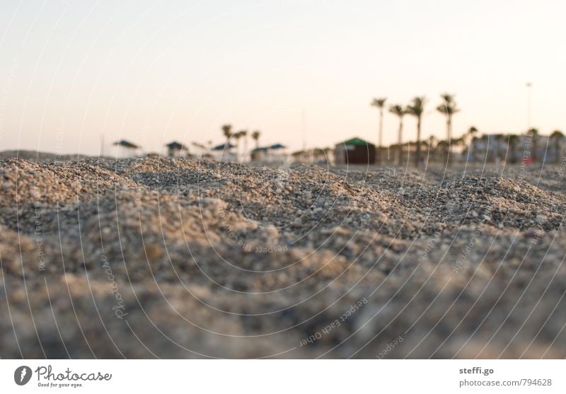 Evening at the beach Vacation & Travel Tourism Trip Adventure Far-off places Freedom Summer Summer vacation Sun Beach Landscape Sand Palm tree Village Deserted