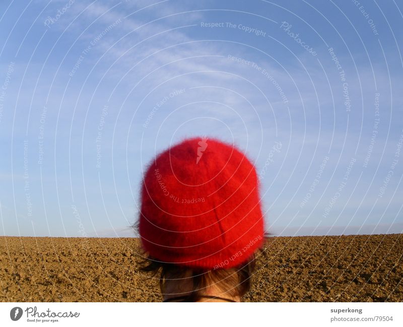 012 Girl Baseball cap Virtuous Familiar Little Red Riding Hood Woman Timidity Happiness Field Style Sky Love of nature Blue Beautiful Graceful Looking Eyes