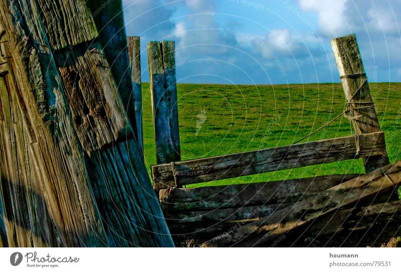 old fence Horizon Shabby Green Clouds Grass plank worn Wooden board