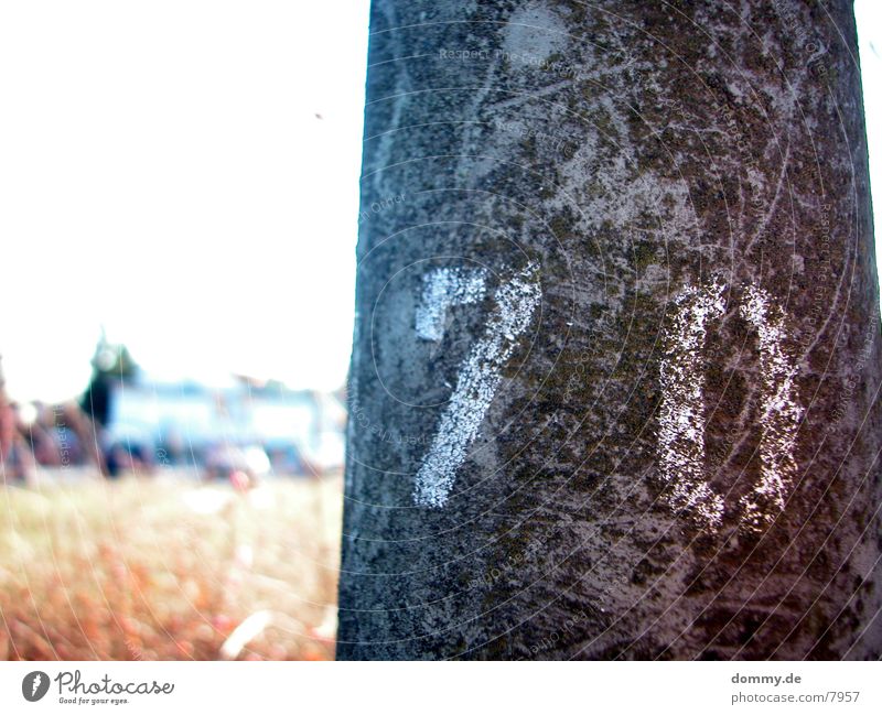 .:70:. Digits and numbers Lantern Gray Field Yellow Macro (Extreme close-up) Close-up seventy Sun kaz