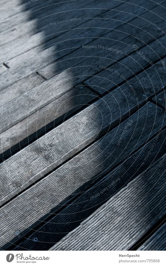 shadow line Berlin Places Building Stairs Dark Bright Town Gray Wood Wooden floor Furrow Shadow play Tilt Diagonal Downward Division Colour photo Subdued colour