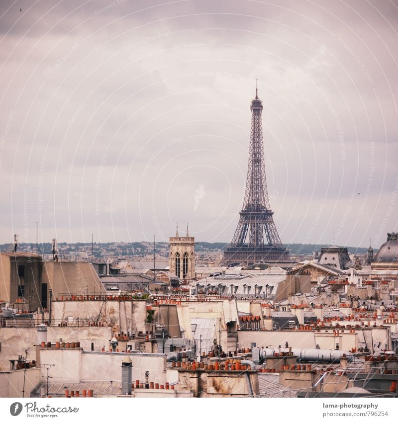 Above the roofs of Paris Vacation & Travel Tourism Sightseeing City trip France Europe Town Capital city Downtown Overpopulated House (Residential Structure)