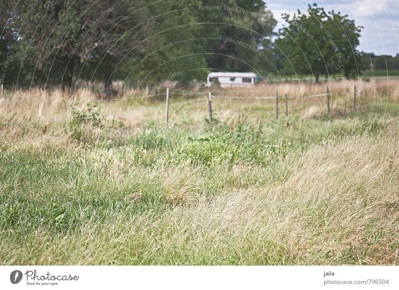 caravans Environment Nature Landscape Plant Sky Summer Beautiful weather Tree Grass Bushes Foliage plant Wild plant Field Fence Caravan Friendliness Natural