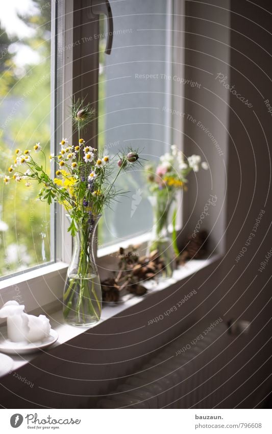 Windowsill. Lifestyle Elegant Style Living or residing Flat (apartment) Interior design Decoration Spring Summer Beautiful weather Plant Blossom Wild plant