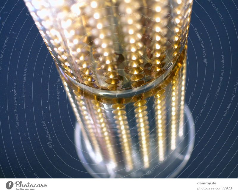 Who makes tea now? Sieve Macro (Extreme close-up) Close-up Tea beer kaz