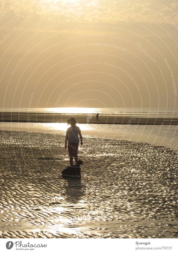 sunset Mud flats Lake Sunset Ocean Beach Coast Human being Loneliness Multiple Evening Bathing place Orange North Sea Water Dusk Maximum on the coast