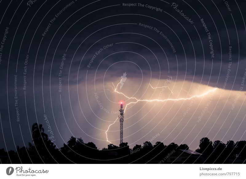 lightning & ... Environment Nature Landscape Plant Air Sky Clouds Storm clouds Night sky Horizon Summer Weather Bad weather Wind Thunder and lightning Tree