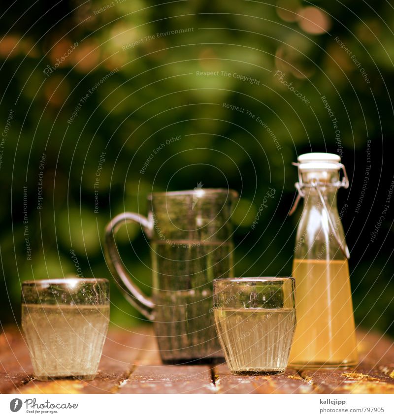 summer tastes like this Beverage Cold drink Drinking water Juice Fragrance Elder elderberry syrup Syrup Glass Bottle Water jug Table Moss Fluid Foliage plant