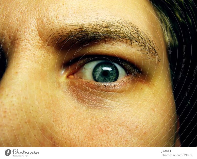 Moment 2 Face Eyes Near Blue Fear Panic Eye colour Close-up Head Eyebrow Nose Pore Eyelash Pupil Iris Detail Portrait photograph Looking