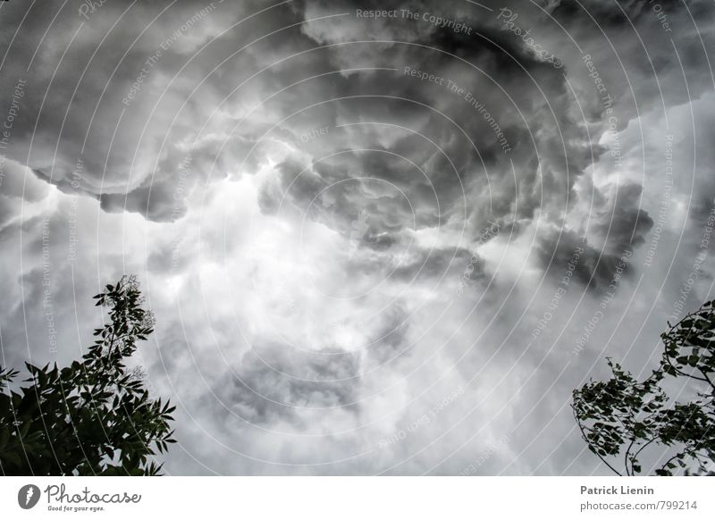 cloud painting Environment Nature Landscape Elements Air Sky Sky only Clouds Storm clouds Climate Climate change Weather Bad weather Wind Gale Rain