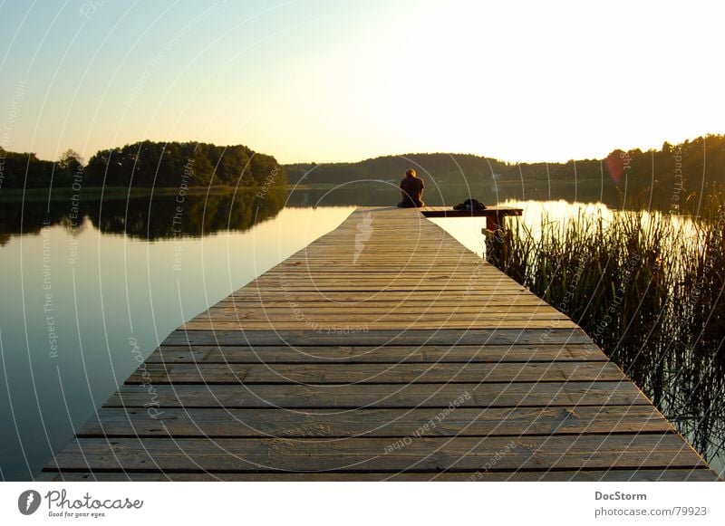 relax... Lake Body of water Sunset Calm Loneliness Contentment Summer Relaxation Yellow Footbridge Common Reed Mirror Vacation & Travel Romance