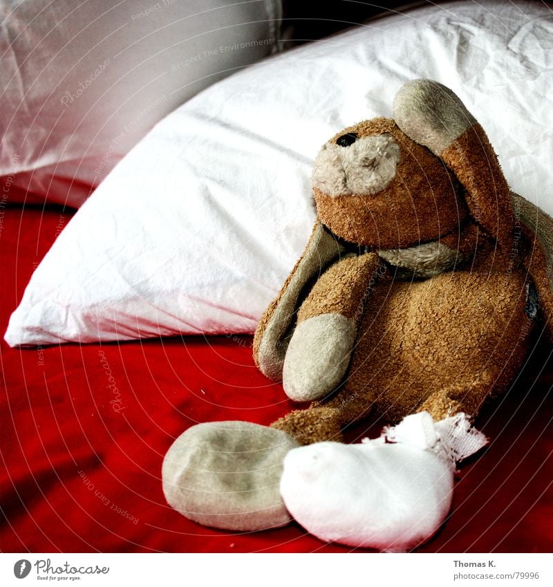 Leisure accident (or: ANIMAL PROTECTION is written in capital letters with me) Linen cloth Animal Animal protection Cloth Cuddly toy Hare & Rabbit & Bunny