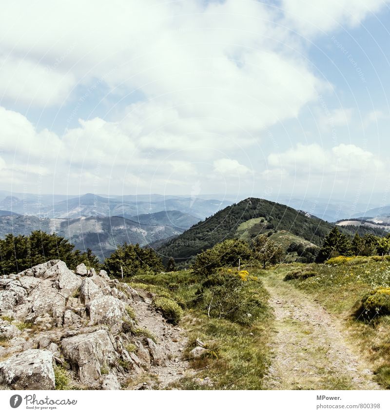 rhone-alpes Environment Landscape Beautiful weather Wind Forest Hill Rock Alps Mountain Tall Lanes & trails Footpath France Colour photo Exterior shot Deserted