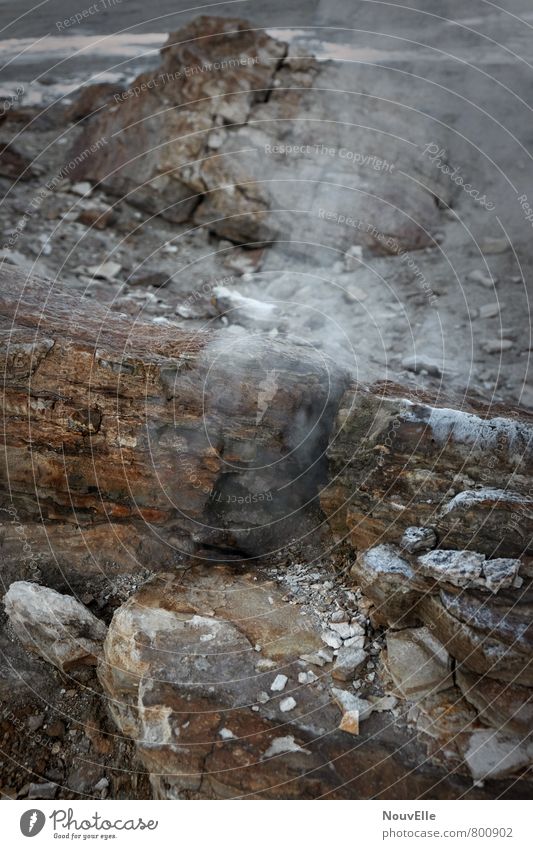 Geysers de Tatio I Environment Nature Landscape Elements Earth Fire Air Warmth Volcano Exceptional Fragrance Dark Cold Natural Beautiful Colour photo