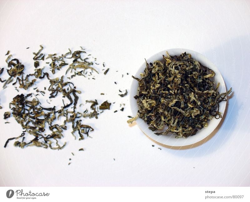 white tea Tea culture Tea plants Tea caddy White Chinese China tea tree chinese tea china tea wise rich of the middle