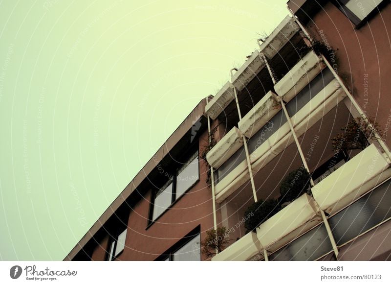 Green Heaven vs. Brown House House (Residential Structure) Balcony Town Window Horizon Building Things Design Sky Beautiful weather Life Architecture