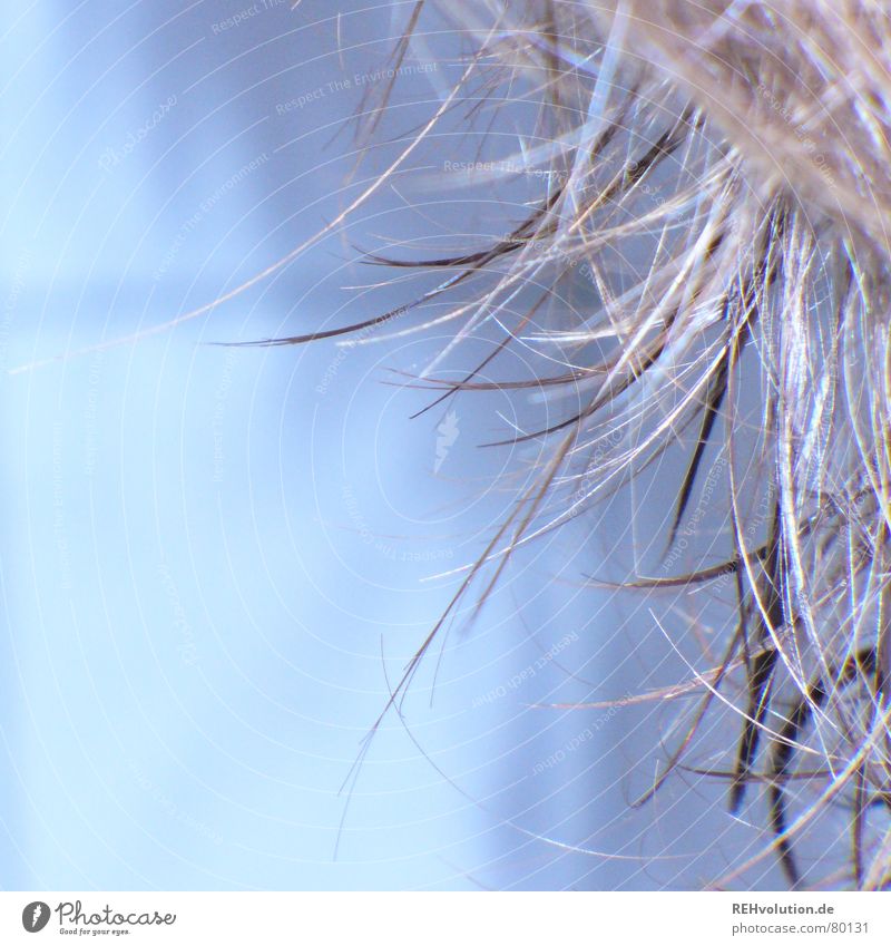 Hair Ensemble 1 Disheveled Laundered Bathroom Cold Wet Hair and hairstyles Wellness Beautiful shaggy Blue Hairdresser Point