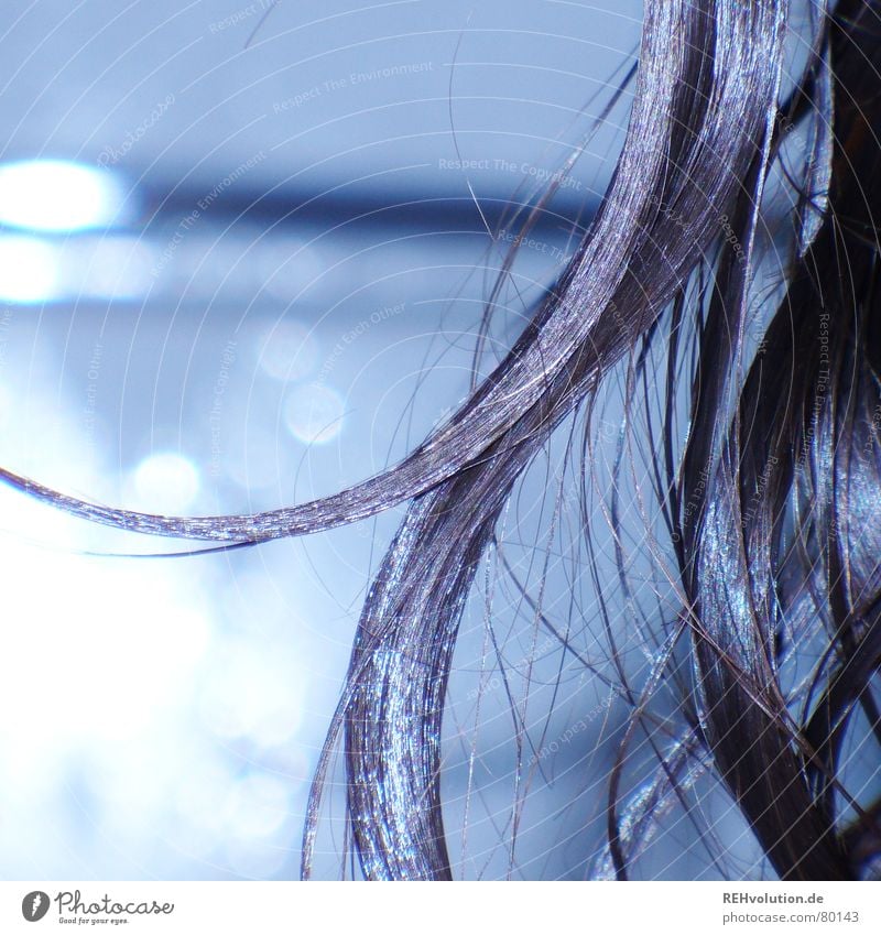 Hair Ensemble 2 Disheveled Laundered Cold Wet Hair and hairstyles Wellness Glittering Strand of hair Long Beautiful Bathroom bath hair shaggy Blue Hairdresser